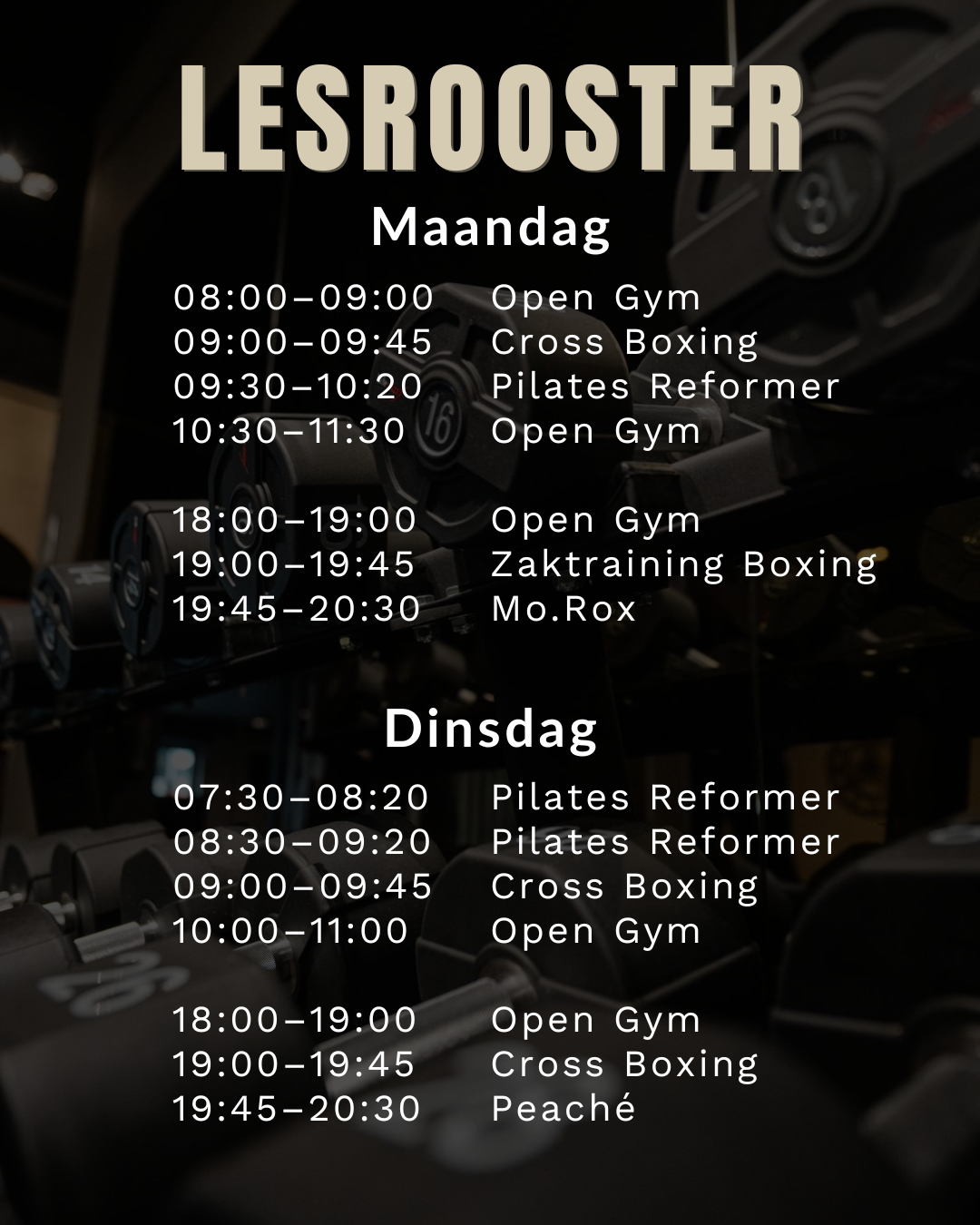 Lesrooster pagina 1